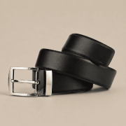 Astraa Mens Belt
